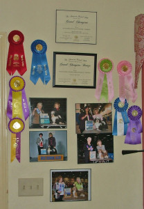 our second hall of Havanese fame
