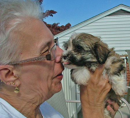 Debbie Heydt with a beautiful multi-color 7 week old Havanese puppy