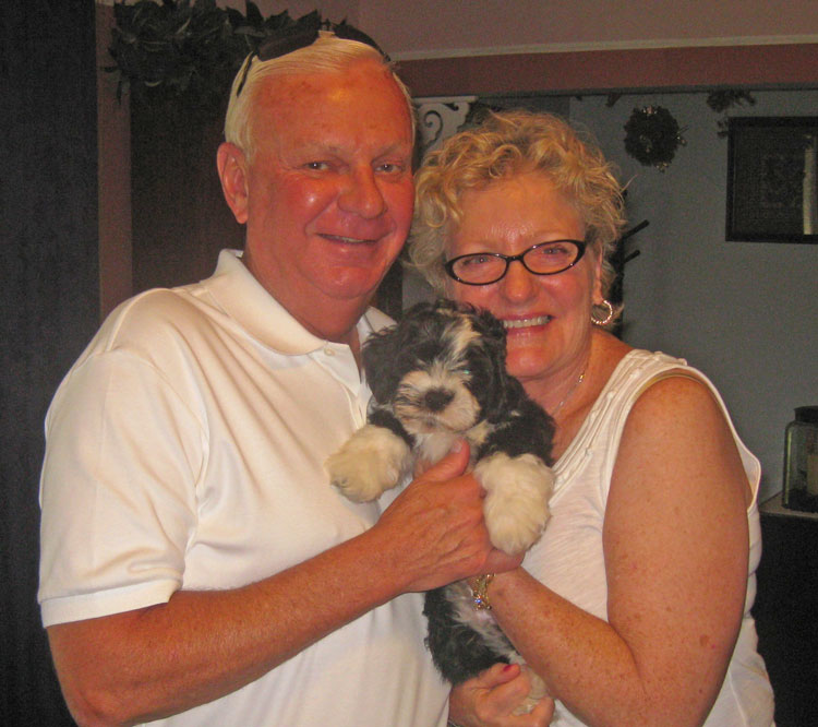 Havanese Puppy #4, Natty Boh, joins his new forever family.
