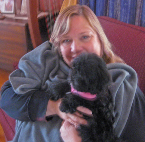 Last Havanese puppy born in November joins his Forever Family.