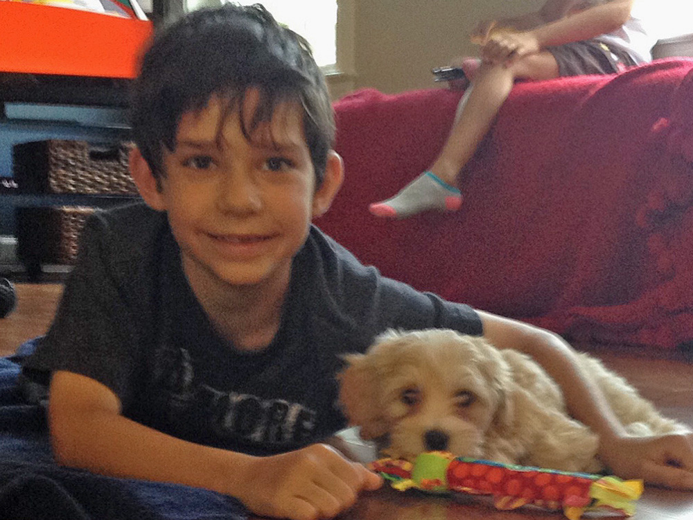 Havanese puppy Finegan enjoys games with his new best buddy!