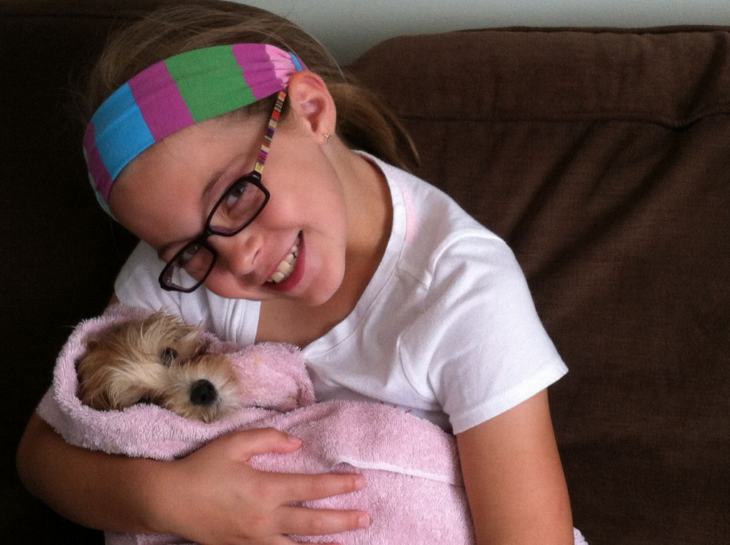 Emmy, our Havanese puppy, enjoys a cuddle with her Big Sister after her bath!