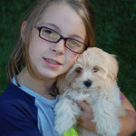 Havanese puppy, Emmy, gets lots of love from her new Forever Family!
